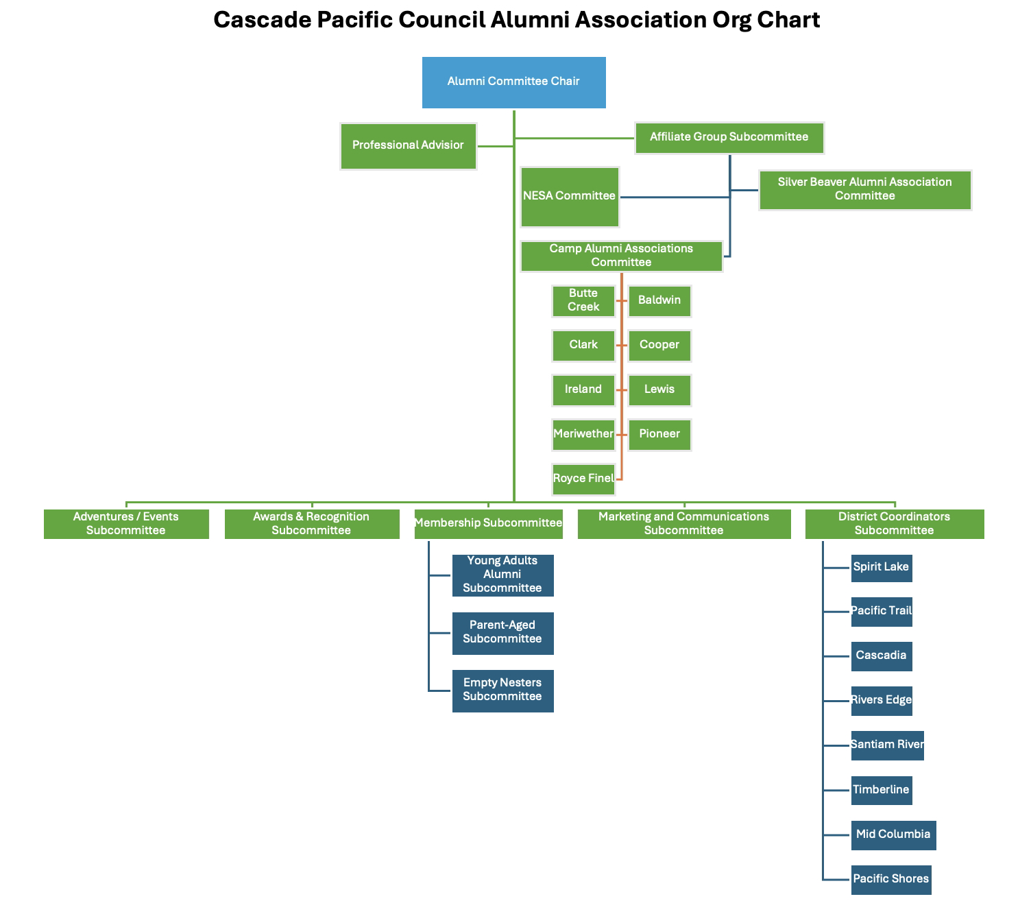 CPC Alumni Asssociation Org Chart
