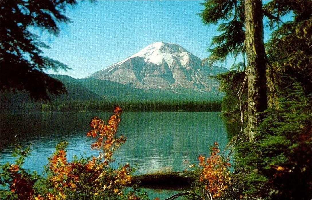 camp fire ring group